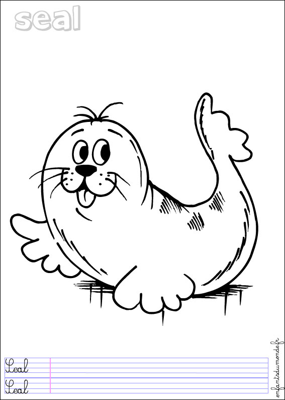 coloriage phoque 1